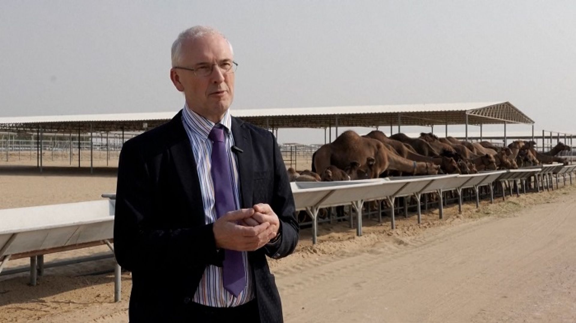 चिनियाँ बजारमा युएईका उत्पादन : ऊँटको दूध रोजाइमा